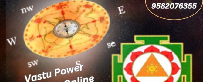 Vastu Power Advance Online Software